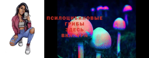 прущие грибы Алексин