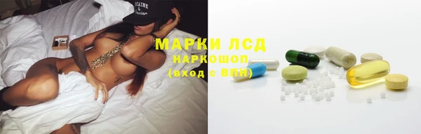 прущие грибы Алексин